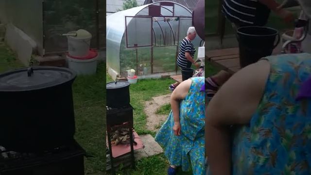 Мои бабули@! смотреть онлайн
