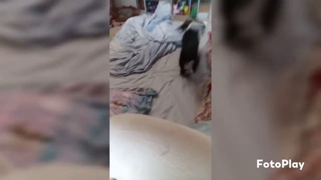Дейзи сума сошла смотреть онлайн