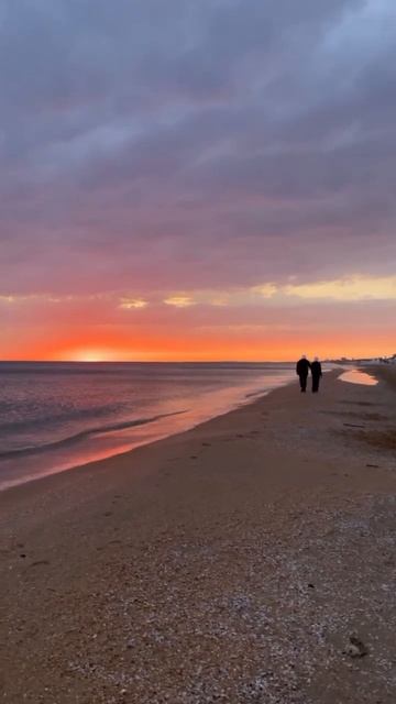 #море #витязево #анапа #весна_в_анапе #веснанаморе #цвет смотреть онлайн