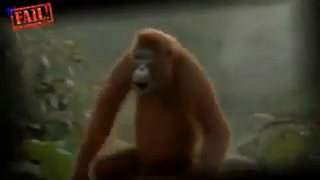 всем доброго дня смотреть онлайн