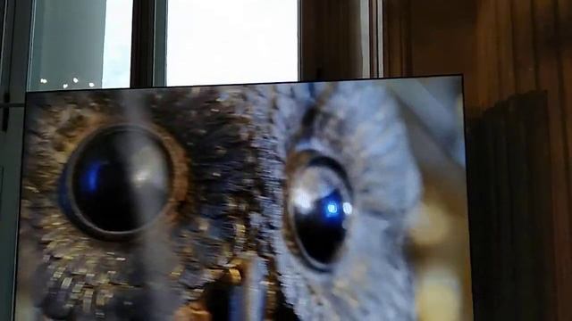 Эрмитаж 19.11.2017г. Презентационный ролик. смотреть онлайн