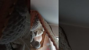 рум тур на мой дом