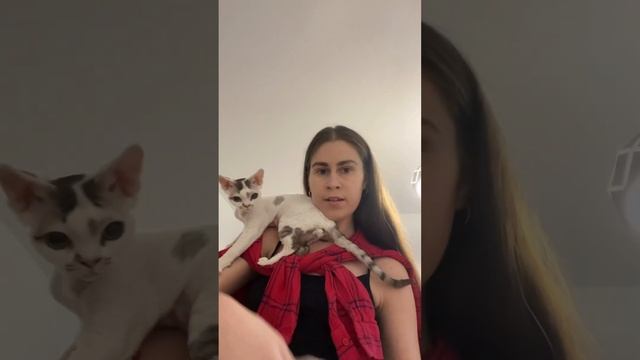 Сюрприз от сестры 🙈 #сюрприз#подарок#гиацинт смотреть онлайн