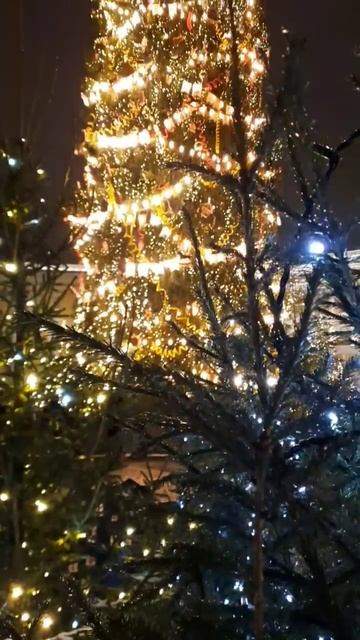 Главная новогодняя елка в СПб #зима #christmastree #новыйгод # смотреть онлайн