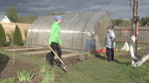 6 соток 6 мая 2025 года. 2 часть. Борюсь с нематодой. Сажаю лук. Клумбы у бани и за баней в тени.