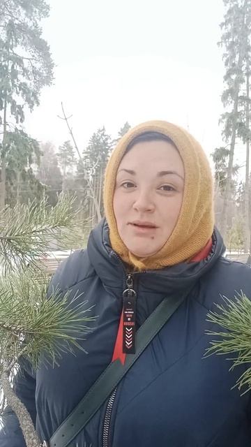 Ведь в словах есть истина, только не каждый может её ув смотреть онлайн