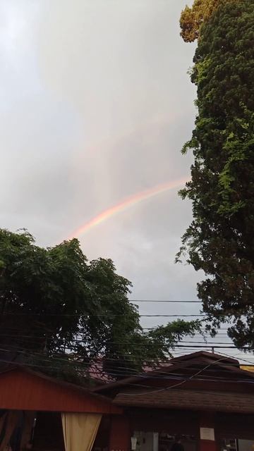 Радуга 🌈 в Пицунде Абхазия кипарисовая аллея смотреть онлайн