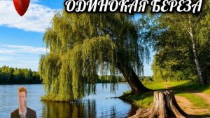 Одинокая берёза
