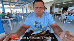 PICKALBATROS PALACE 5* ОТЕЛЬ ХОРОШИЙ, НО МЫ БОЛЬШЕ НЕ ПРИЕДЕМ - ША
