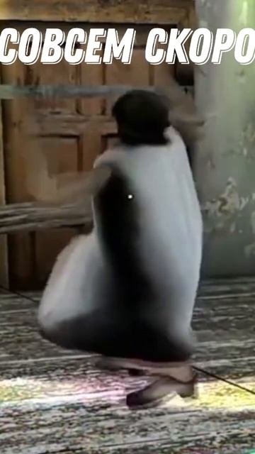 #гренни #Игра #хоррор #бабка #бабка гренни смотреть онлайн