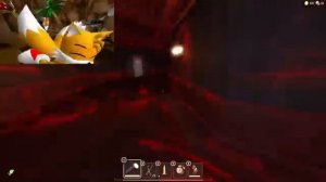 Tails plays  ROBLOX DOORS