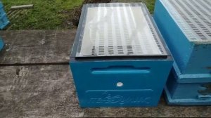 Мёд носят Пчёлы а не Улья!!!