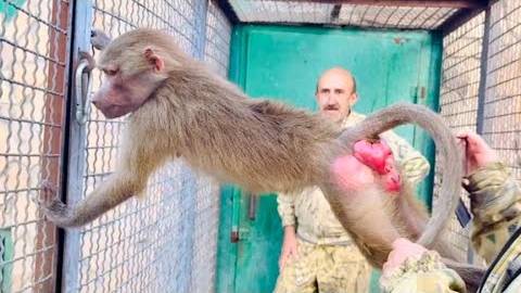 У Люси с Елисеем ВТОРОЕ СВИДАНИЕ! Люся не понимает, почему ее тактика ПЕРЕСТАЛА смотреть онлайн