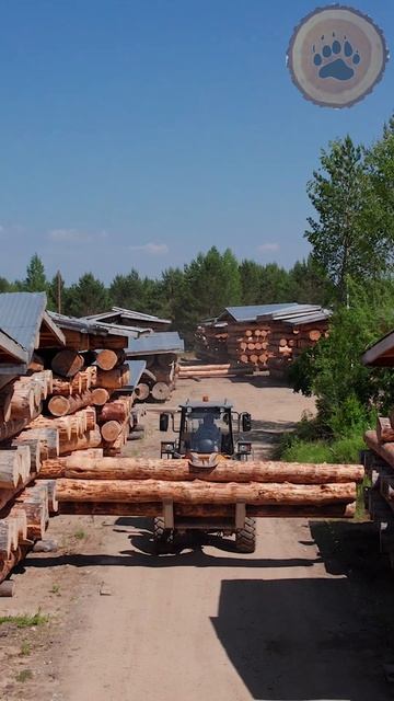 🪵 СЕКРЕТЫ КАЧЕСТВА: ХРАНЕНИЕ И ТРАНСПОРТИРОВКА ДРЕВЕ смотреть онлайн