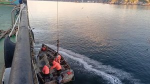 ПУТИНА НА КРАСНУЮ РЫБУ  МАГАДАН