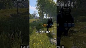 ЧТО ТАКОЕ КУРЯТНИК ЗА 1 МИНУТУ В RUST / РАСТ