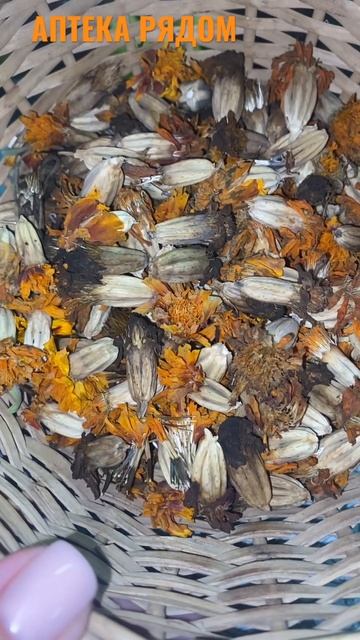 БАРХАТЦЫ... НОГОТКИ... смотреть онлайн