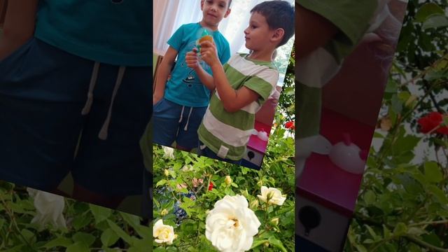 КЗДО 339 ,,Барвінок,,. ,,Прощавай садок дитячий,,. Група ,,С смотреть онлайн