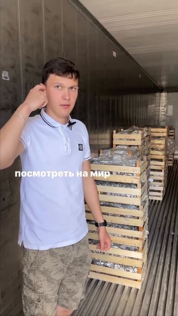 Как видят мир клубничники #рассада #клубника #рекоменд смотреть онлайн