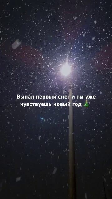 До НГ осталось 50 дней🎄Уже чувствуете запах мандарино смотреть онлайн