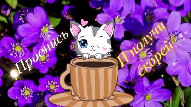 Доброе Утро ☀️ Хорошего Дня И Отличного Настроения #д смотреть онлайн