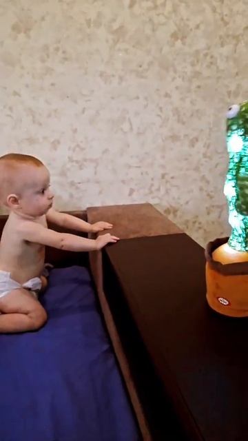 Евангелия и кактус смотреть онлайн