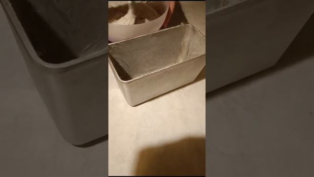 Ландшафтная фантазия