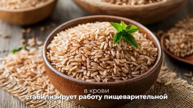 Топ-15 продуктов, которые рекомендуется есть при прави? смотреть онлайн