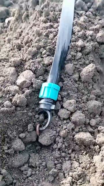 Монтуємо крапельний полив для картоплі 2025#село#весна#?