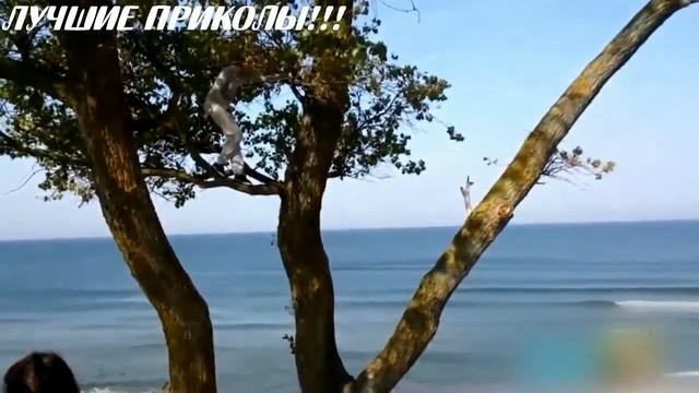 Самые лучшие приколы 24 !!! Придурки или храбрецы??? смотреть онлайн