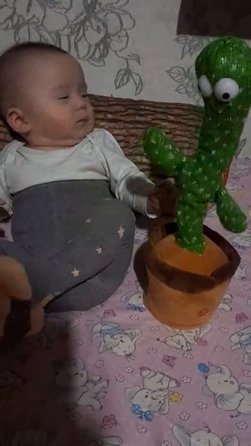 Дарина Табухова.# танцующийкактус # кактустанцующий #к смотреть онлайн