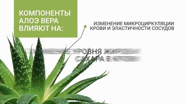 Мини фильм о питьевом геле Алоэ Вера Персик смотреть онлайн