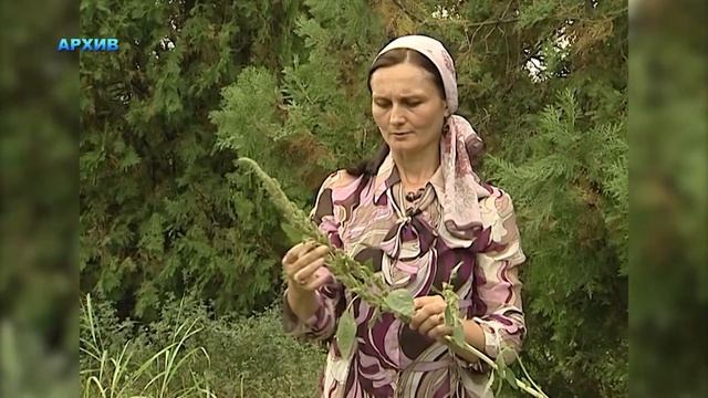 Живая природа (Амарант) смотреть онлайн
