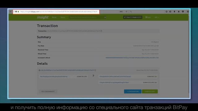 Как проверить транзакцию в BitPay кошельке смотреть онлайн