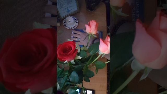 Сила Знахарства. Верба. Василек. смотреть онлайн