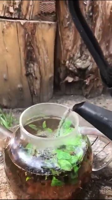 чай с мятой смотреть онлайн