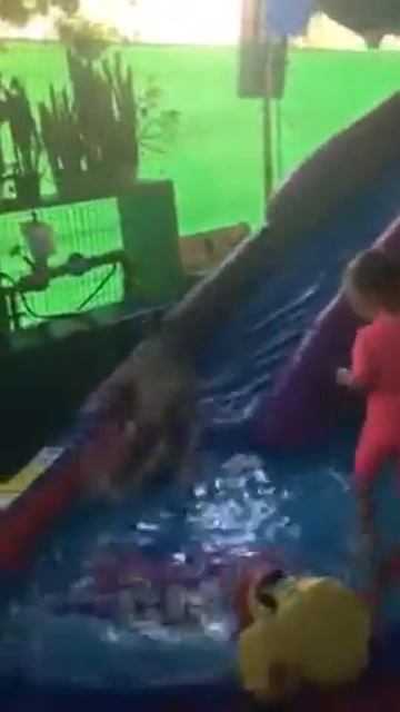 Детский сад в Петах-Тикве "Винни Пух" смотреть онлайн