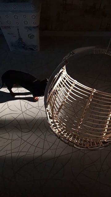 подвесная плетеная качель смотреть онлайн