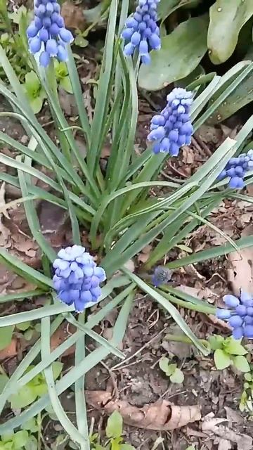 8 апреля 2025 г.