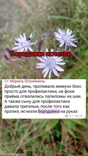 Бородавки исчезли без следа. Подписывайтесь и получай смотреть онлайн