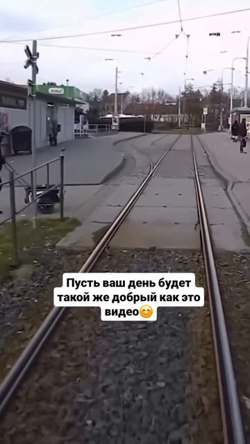 Доброта спасет мир!💖💖💖 #гармония #силасознания #осо смотреть онлайн