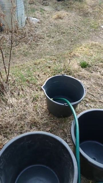 розы из мира увлечений смотреть онлайн