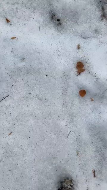 📍Стол на ручье 51.982127 113.498142📍Качели 51.9663693 113.4962983#чита # смотреть онлайн