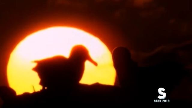 Ханифа Курбонова Ишки аввал чун ширмахтоб. смотреть онлайн