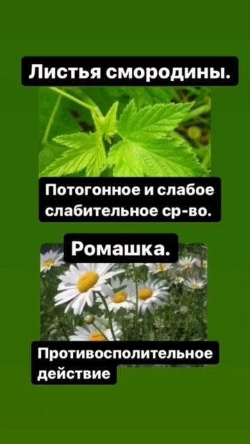 #сибирскоездоровье #запор#чайочищение#чайкомфортноеп смотреть онлайн