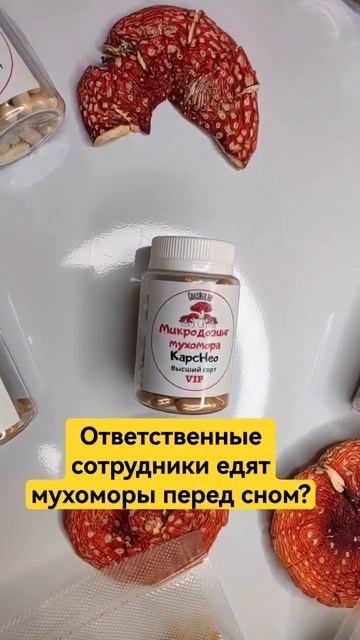 Ответственные сотрудники едят мухоморы перед сном? #м? смотреть онлайн
