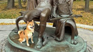 Прогулка с сиба-ину в парке-усадьбе Курякино. Часть 2