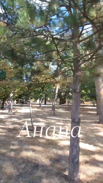 Анапа Осенью в сентябре 🍁🍂🍃20 смотреть онлайн
