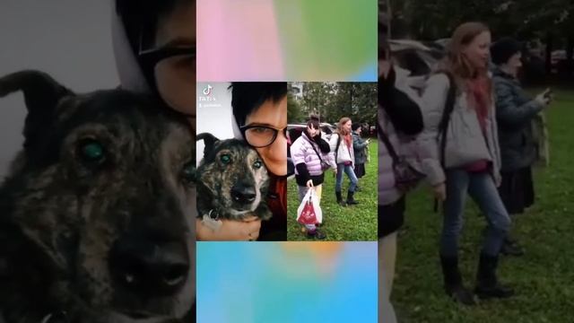 Многосерийный фильм "Васильки и его обитатели". 7-я сер? смотреть онлайн