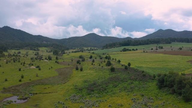 - Мама, когда ты успела потратить столько денег с креди смотреть онлайн